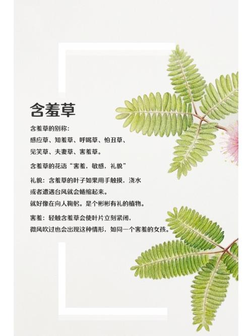 360电影院在线观看：最新高清电影免费播放，2025热门大片抢先看