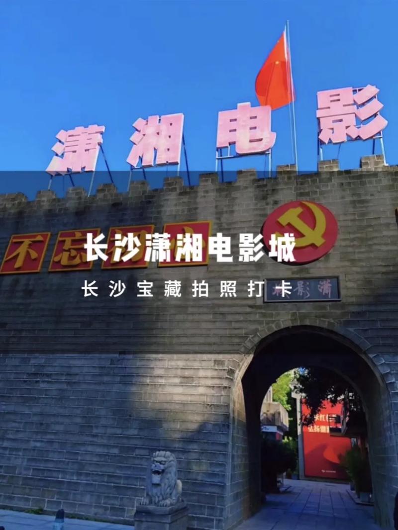 流量君视频手机影院 - 免费高清在线观看，最新热门剧集与经典电影资源一键畅享