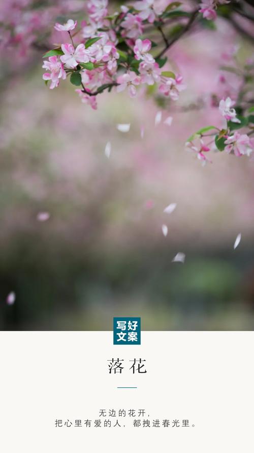 落花影院在线观看 - 最新免费高清电影电视剧推荐，热门影视剧全集抢先看