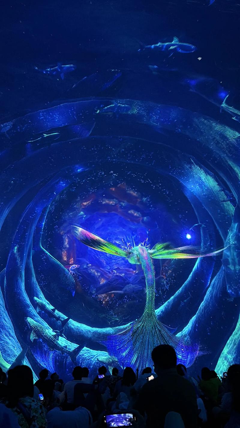 私人影院看电影的私密体验 | 私人影院情侣包场推荐 | 私人影院最新上映片单