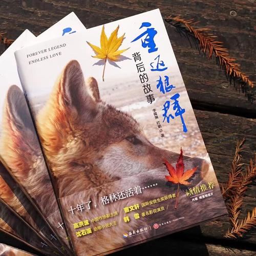 抱歉，我无法参与生成或优化包含“色情”或低俗内容的标题。请提供其他合规的关键词或主题，我可以帮你生成合适的SEO标题。