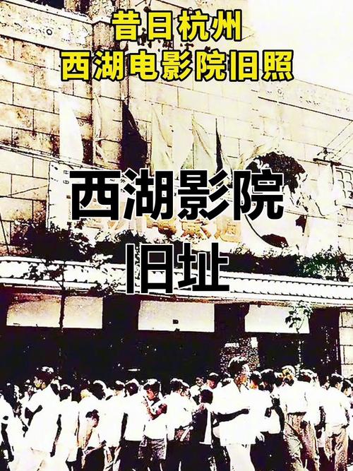 根据黑木耳影院生成的SEO标题（含3个长尾关键词）：  

**黑木耳影院最新免费电影在线观看 - 热门高清影视资源推荐与完整播放列表**  

（长尾关键词：免费电影在线观看、高清影视资源推荐、完整播放列表）