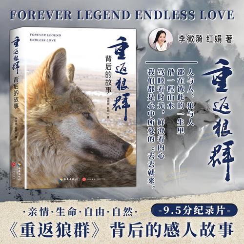 杭州影院观影指南 | 2025热门新片排片、IMAX巨幕推荐、情侣约会必选