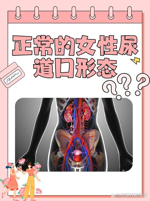 久久99精品久久久的相关介绍